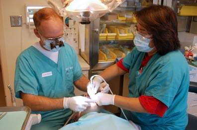 What You Need To Know About a Dental Hygienist